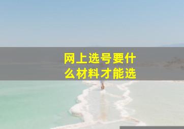 网上选号要什么材料才能选