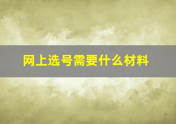 网上选号需要什么材料