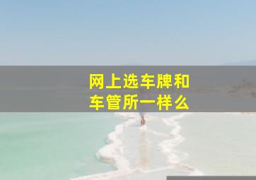 网上选车牌和车管所一样么