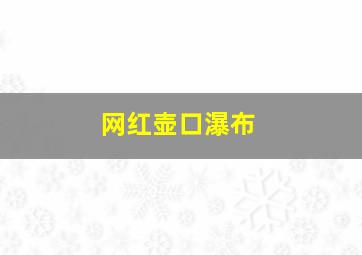 网红壶口瀑布