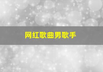 网红歌曲男歌手