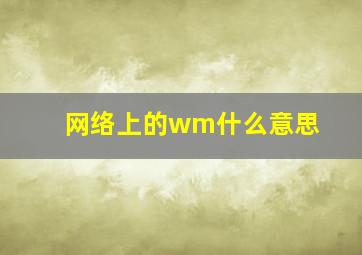 网络上的wm什么意思