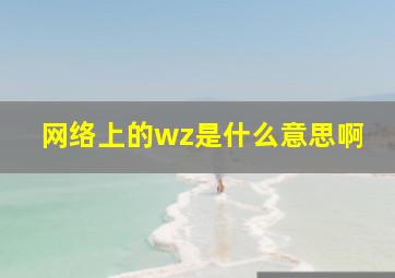 网络上的wz是什么意思啊