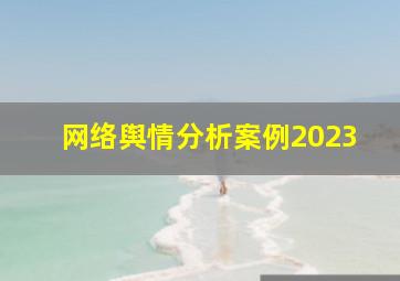 网络舆情分析案例2023