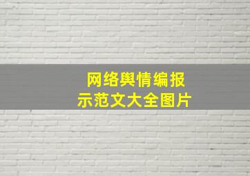 网络舆情编报示范文大全图片