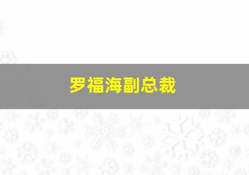 罗福海副总裁