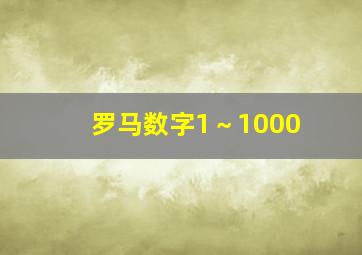 罗马数字1～1000