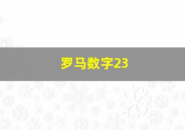 罗马数字23