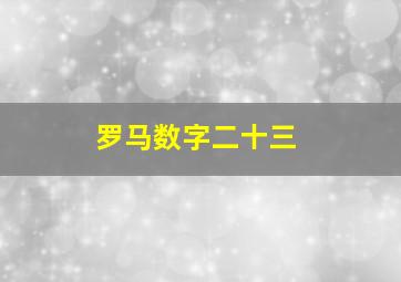 罗马数字二十三