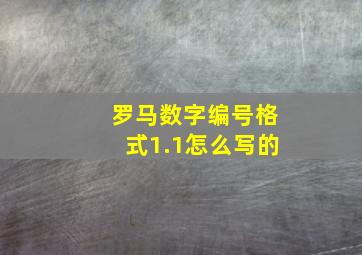 罗马数字编号格式1.1怎么写的