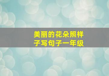 美丽的花朵照样子写句子一年级