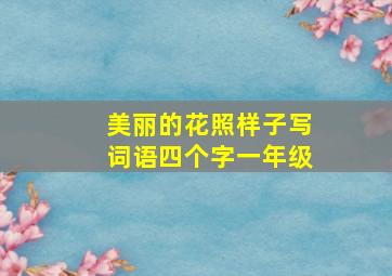 美丽的花照样子写词语四个字一年级