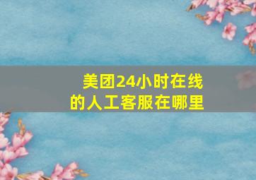 美团24小时在线的人工客服在哪里