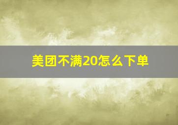 美团不满20怎么下单