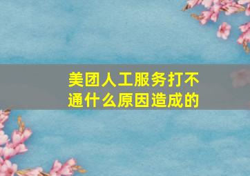 美团人工服务打不通什么原因造成的