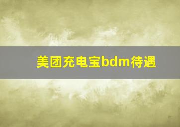 美团充电宝bdm待遇