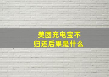 美团充电宝不归还后果是什么