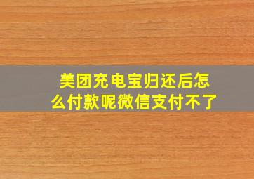 美团充电宝归还后怎么付款呢微信支付不了