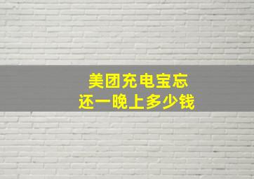 美团充电宝忘还一晚上多少钱