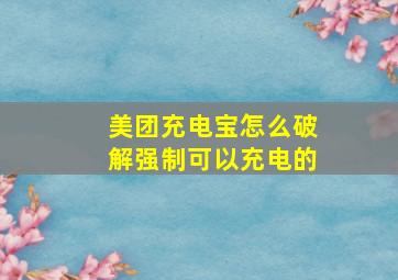 美团充电宝怎么破解强制可以充电的