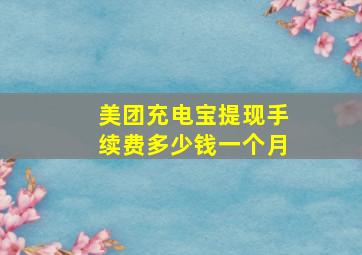 美团充电宝提现手续费多少钱一个月