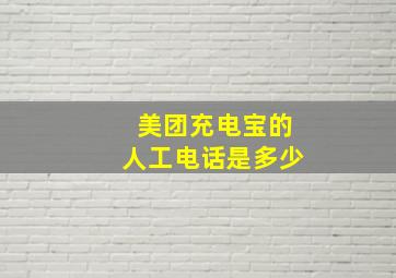 美团充电宝的人工电话是多少