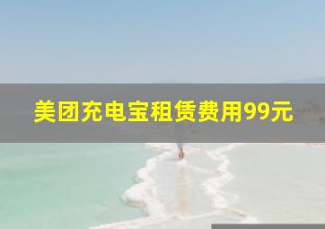 美团充电宝租赁费用99元