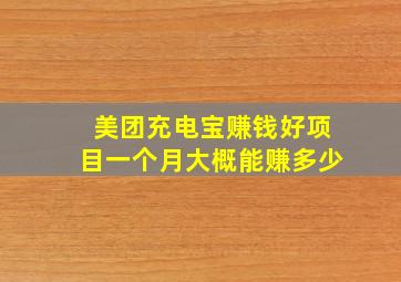 美团充电宝赚钱好项目一个月大概能赚多少