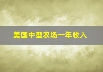 美国中型农场一年收入