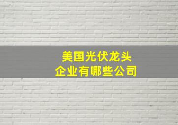 美国光伏龙头企业有哪些公司