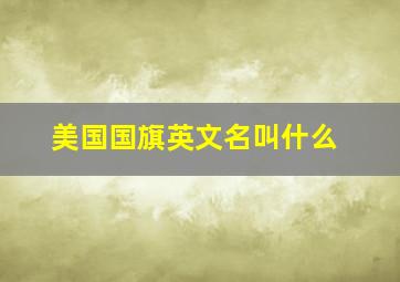 美国国旗英文名叫什么