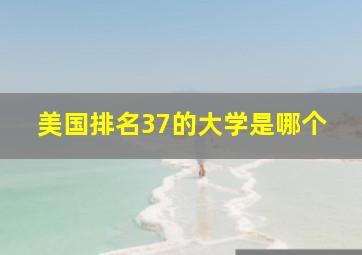 美国排名37的大学是哪个