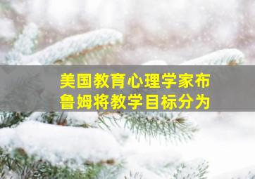 美国教育心理学家布鲁姆将教学目标分为