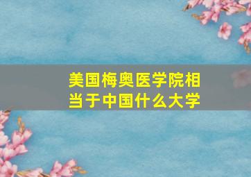 美国梅奥医学院相当于中国什么大学