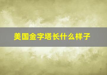 美国金字塔长什么样子