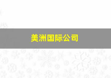 美洲国际公司