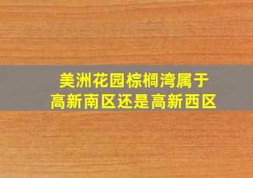 美洲花园棕榈湾属于高新南区还是高新西区