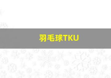 羽毛球TKU