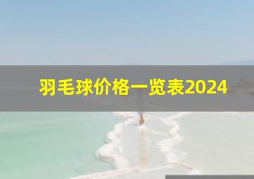 羽毛球价格一览表2024