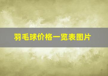 羽毛球价格一览表图片