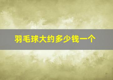 羽毛球大约多少钱一个