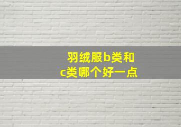 羽绒服b类和c类哪个好一点