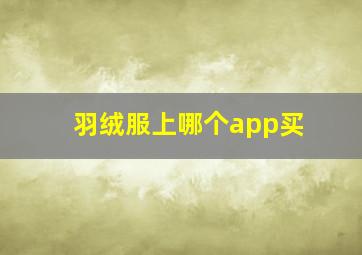 羽绒服上哪个app买