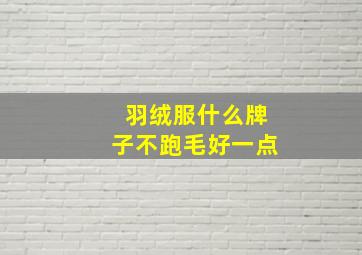 羽绒服什么牌子不跑毛好一点