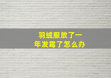 羽绒服放了一年发霉了怎么办