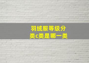 羽绒服等级分类c类是哪一类