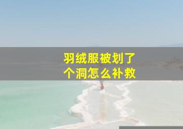 羽绒服被划了个洞怎么补救