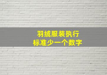 羽绒服装执行标准少一个数字