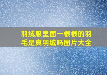 羽绒服里面一根根的羽毛是真羽绒吗图片大全