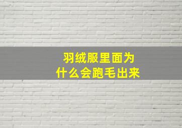 羽绒服里面为什么会跑毛出来